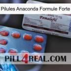 Anaconda Strong Formula Pills 36